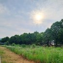 뚜레쥬르(청주영운제일) | 아침 걷기 효과, 영운천로 수변관찰로 산책 후기 청주 산책로 SoODA N 차