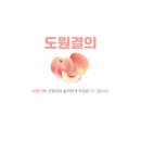[양양] 양리단길 라운지 바베큐 파티 및 레크레이션 후기