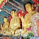 평지민박 이미지