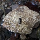 한종농장 이미지