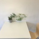 카페일기 이미지