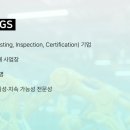 에스지에스 이미지