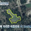 제주도집 티스토리