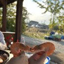 쌍봉로 R | 대하수산 외식공간 새우구이 방갈로 느좋 감성