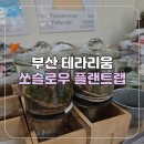 남포지하쇼핑센터 14번 출구 | [부산/남포] 부산 테라리움 만들기 체험 쏘슬로우 플랜트랩 이끼테라리움 후기