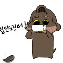 고고닭짱