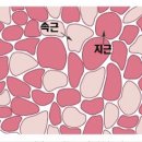 테라피스튜디오 이미지