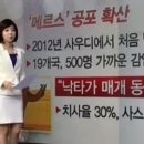 영인약품 이미지