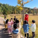 연세자연유치원 이미지