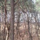 꿈밭유치원 이미지