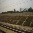 G1033 이미지