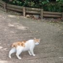 (주)집사람 이미지