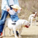 닉스 이미지