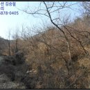 쌍방울주 이미지