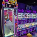 헌터독 대흥점 이미지