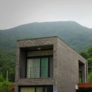 폴의골목 동물병원 이미지