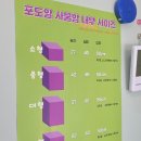 포도알 사물함