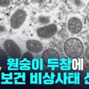 RE:원숭이두창으로 또 백신과 치료제 팔 계획... 2022년 7월 23일이후 통제터널로 들어가네요.. 이미지