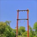 [부여] 부여 서동공원 궁남지(扶餘宮南池) 연꽃. 이미지