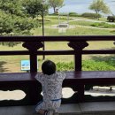 호수공원 | 서울 근교 아기랑 나들이｜일산 호수공원 주차 후기