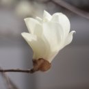 독립농장 이미지