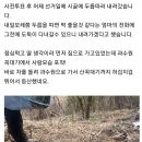 두릅도둑을 잡았습니다 이미지