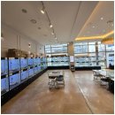 상상도그 이미지