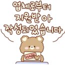 안부플라워 이미지