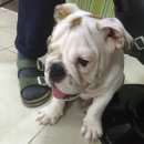 우소농장 이미지