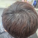 퀸즈헤나헤어 | 부산새치염색 잘하는 곳 왕소희헤어 부산시청점 추천 후기