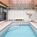 스테이 선명 | 제주도 서귀포 감성숙소 스테이선명 감성적인 독채 풀빌라 온수풀 무료