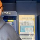 꽃놀이패 | 26년 봄꽃축제, 서울대공원 동물원 리프트패키지 코스추천!