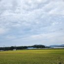 또닭또닭 | 순천여행 또간집 닭구이 맛집 대숲골농원 내돈내산후기_커플세트