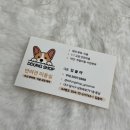 DDUNG SHOP(뚱샵) | 대구 달서구 상인동 애견미용샵 :: 뚱샵, *야간미용가능*