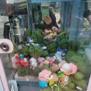 코코래빗 경산하양점 이미지