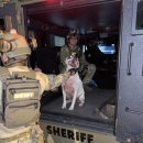 (주)펫스테이트 이미지