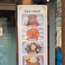 금보리 이미지