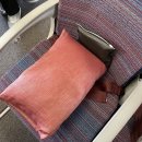 순수치킨인천 | 가족여행] 아시아나항공 OZ581 인천-밀라노 말펜사(ICN-MXP) 직항 기내식, 기내서비스 내돈내산 후기!