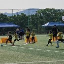 배뫼산축구장 이미지