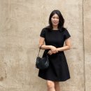 라인A여자경로당 | 20대 30대 여자 결혼식 하객룩 르로망 여름 반팔 A라인 블랙 미니 원피스 내돈내산 후기