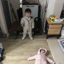 알밤이네로 이미지