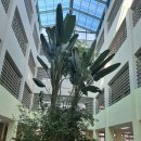 군산지곡초등학교 이미지