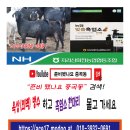 긴고랑로 이미지