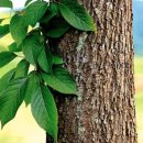 비노한의원 이미지