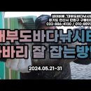 대부도바다낚시터 2024년 10월 18일 금요일 우럭 감성돔 참돔 홍돔 자바리등 조황 이미지