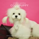 애견미용샵 조이 이미지