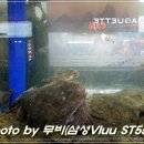 아구아구찜 이미지