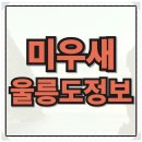 울릉도일등펜션 | 울릉도 배편 크루즈 가격 럭셔리 숙소 집중 분석, 미우새 펜션 호텔