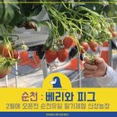 신상농장 2 이미지