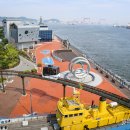 울산 장생포 - 고래고기 요리